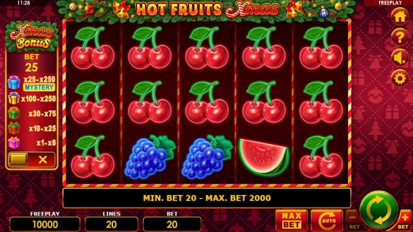 Hot Fruits Xmas.jpg