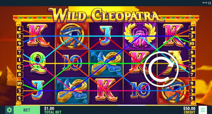 Wild Cleopatra.jpg