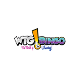 WTG Bingo Casino Logo