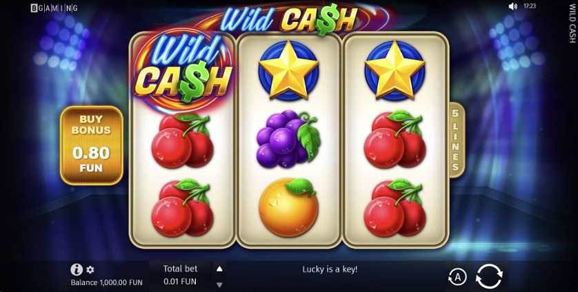 Wild Cash.jpg