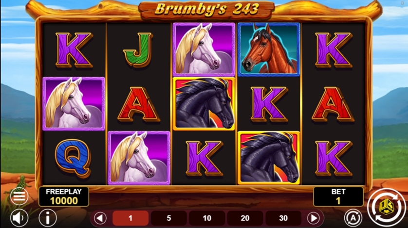 Brumby's 243.jpg