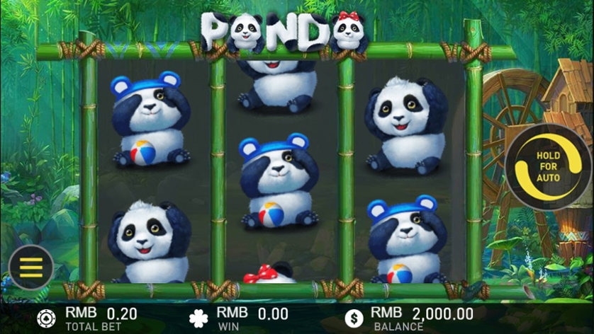 Panda.jpg