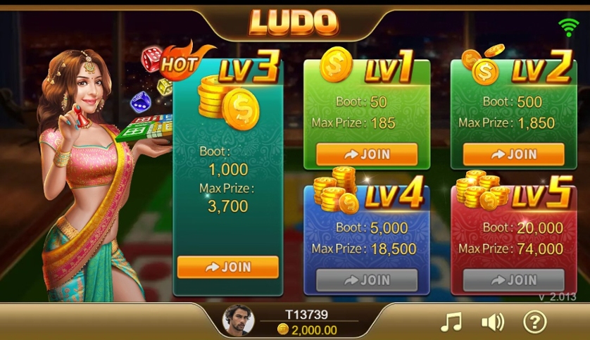 Ludo.jpg