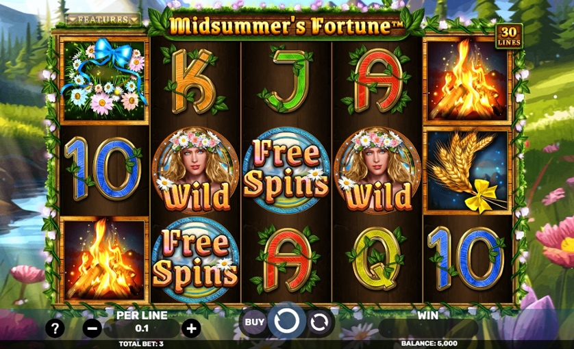 Midsummer's Fortune.jpg