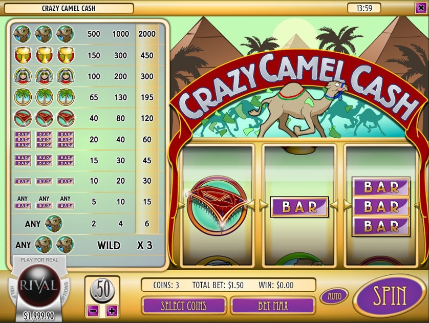 Crazy Camel Cash.jpg