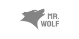 Mr. Wolf Slots Casino Logo