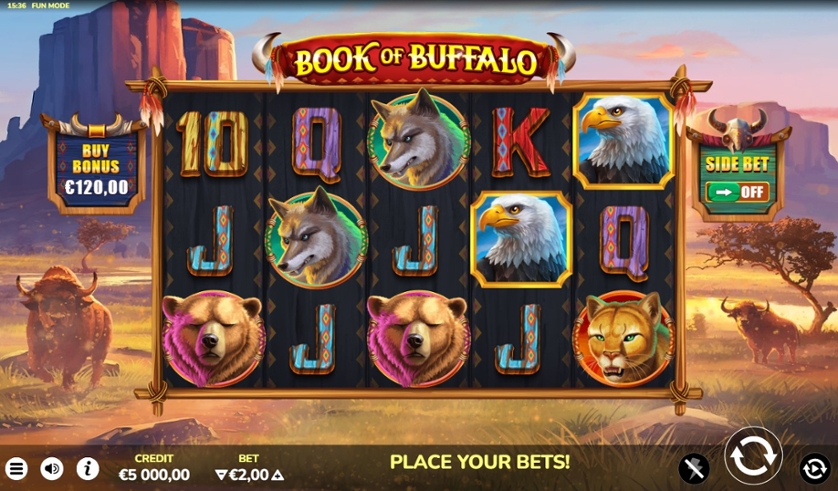 Book of Buffalo.jpg