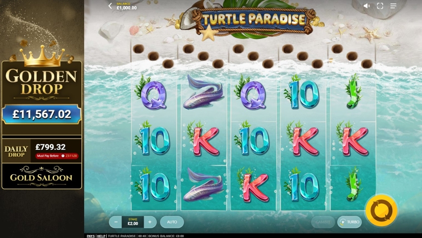 Turtle Paradise.jpg